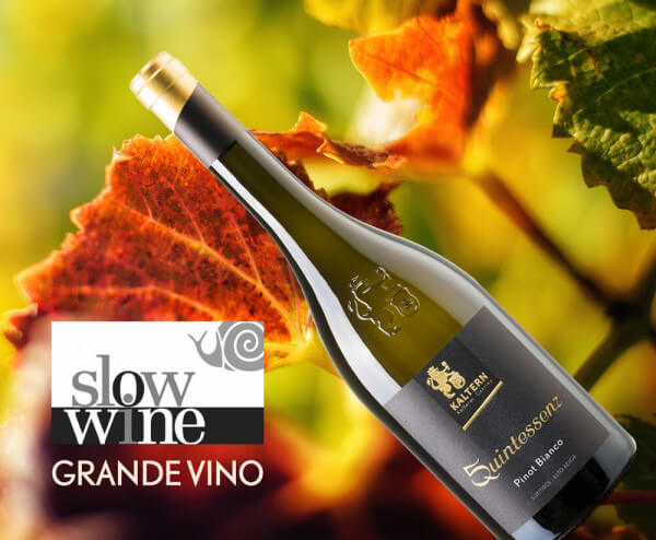 web_181004-slow-wine-grande-vino-quintessenz