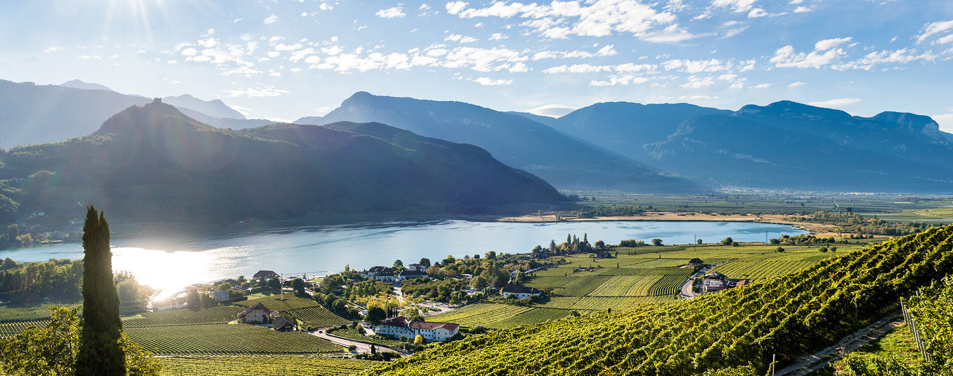 Winery Kaltern