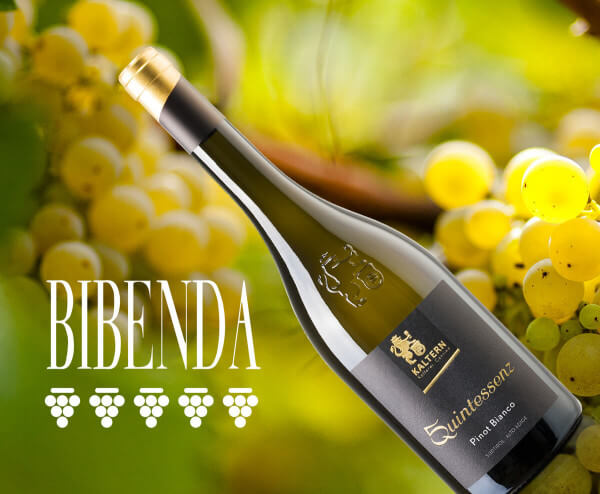 web_181004-bibenda-quintessenz-pinot-bianco-2016h0AociZJ2m7P6